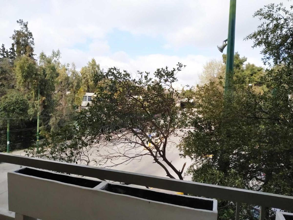 Fully Renovated, Family-Friendly Apartment, Next To A Huge Green Park, In Athens Center Buitenkant foto